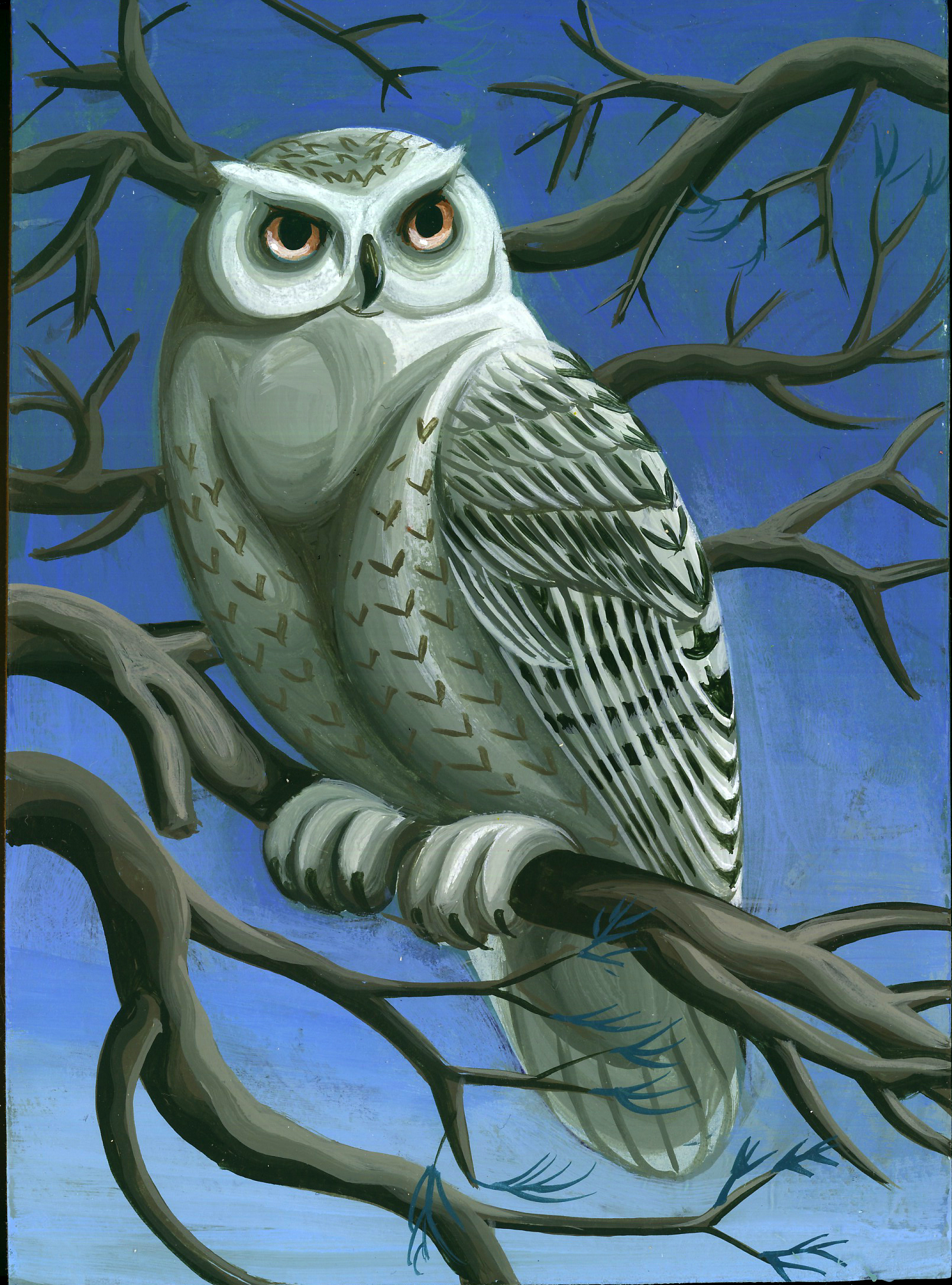 snowy-owl